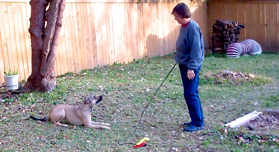 Self-Control, Impulse Control, and Stimulus Control: Widening the Conversation