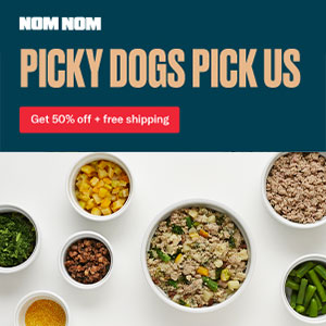 Best Dog Food for Picky Eaters
