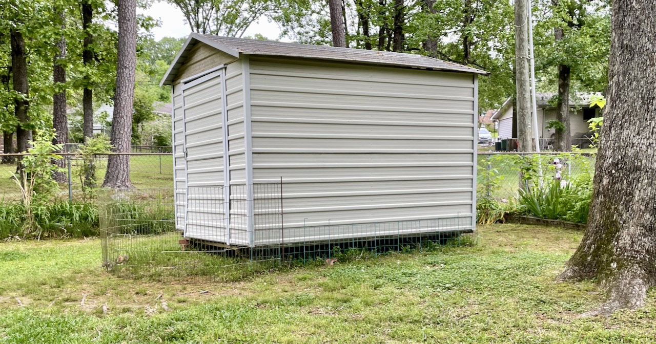 How I Saved My Dog from a Shed