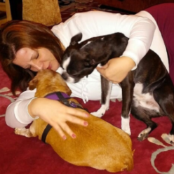 How Much Does Pet Insurance Cost – And Is It Worth It?