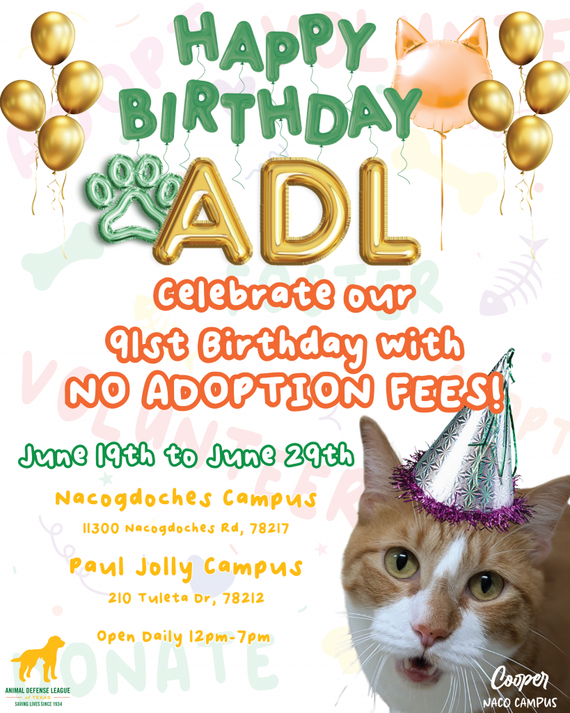 Happy 91st ADL!